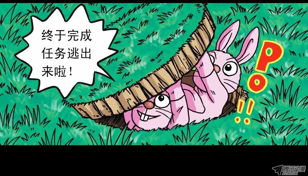 第12集 兔巢无间道