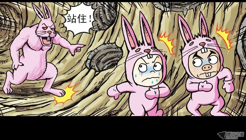 第12集 兔巢无间道