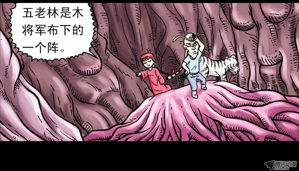 第21集 揭秘五老林