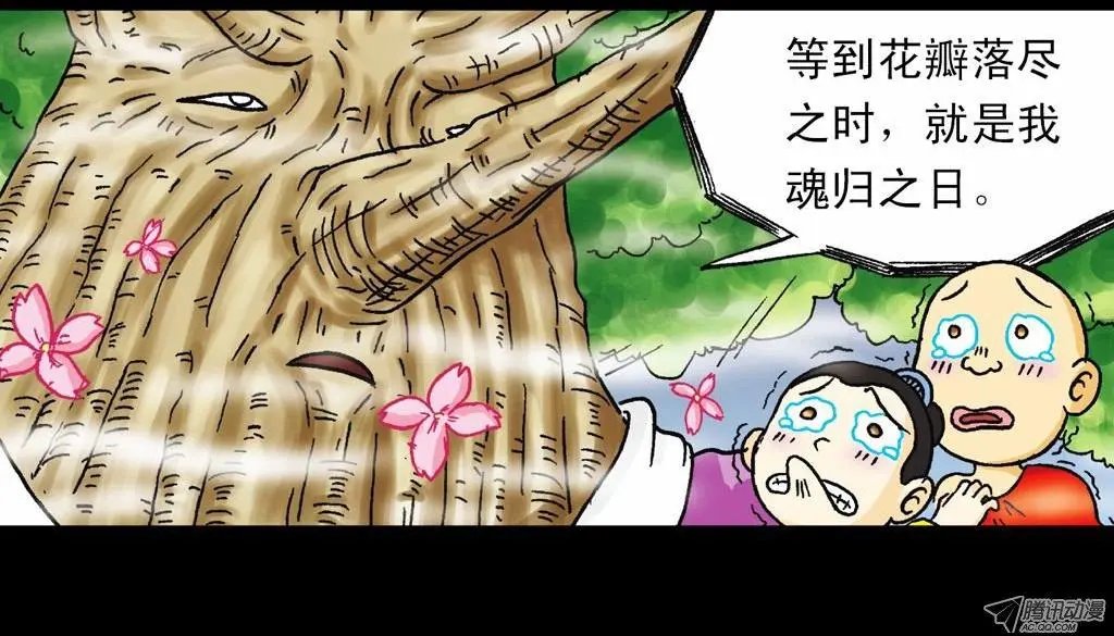 第21集 揭秘五老林