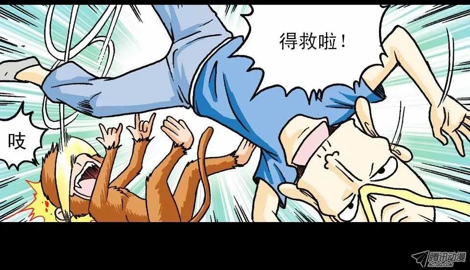 第56集 猴孙大激斗