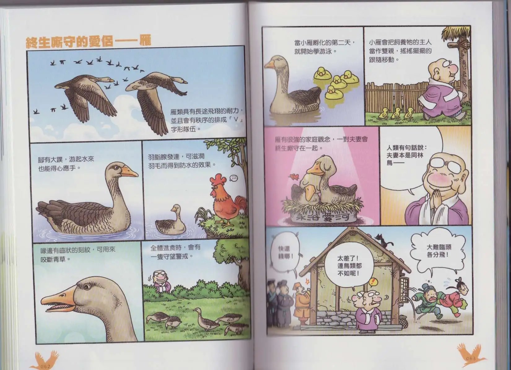 第04卷