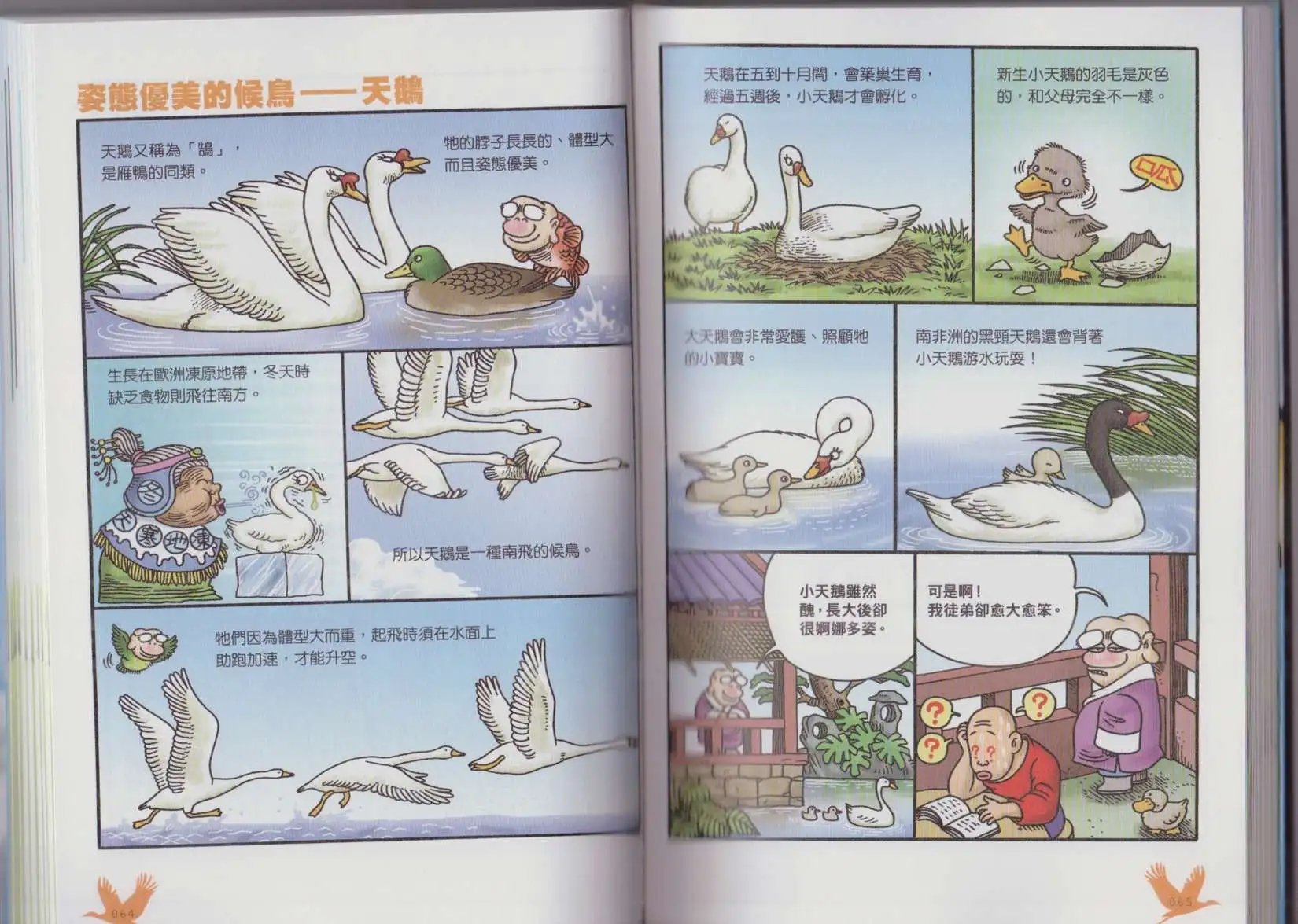 第04卷