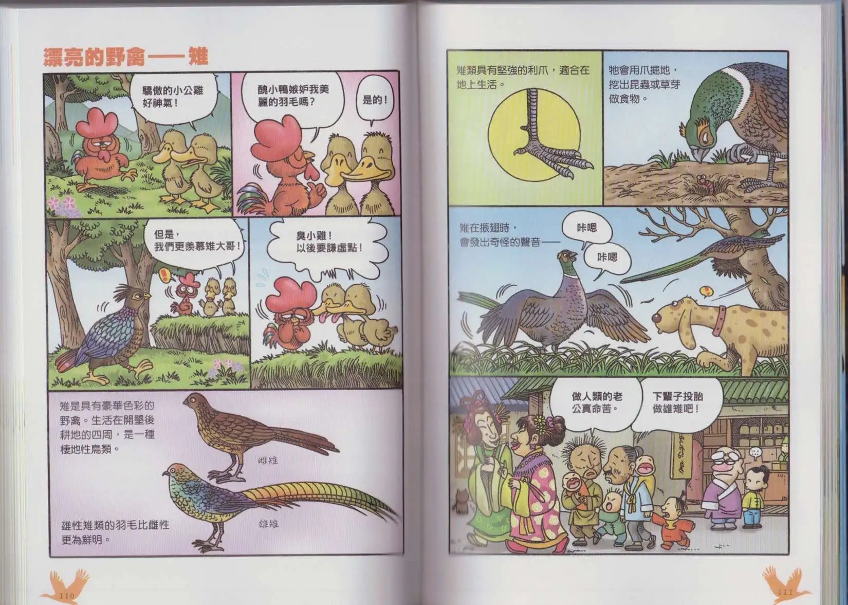 第04卷
