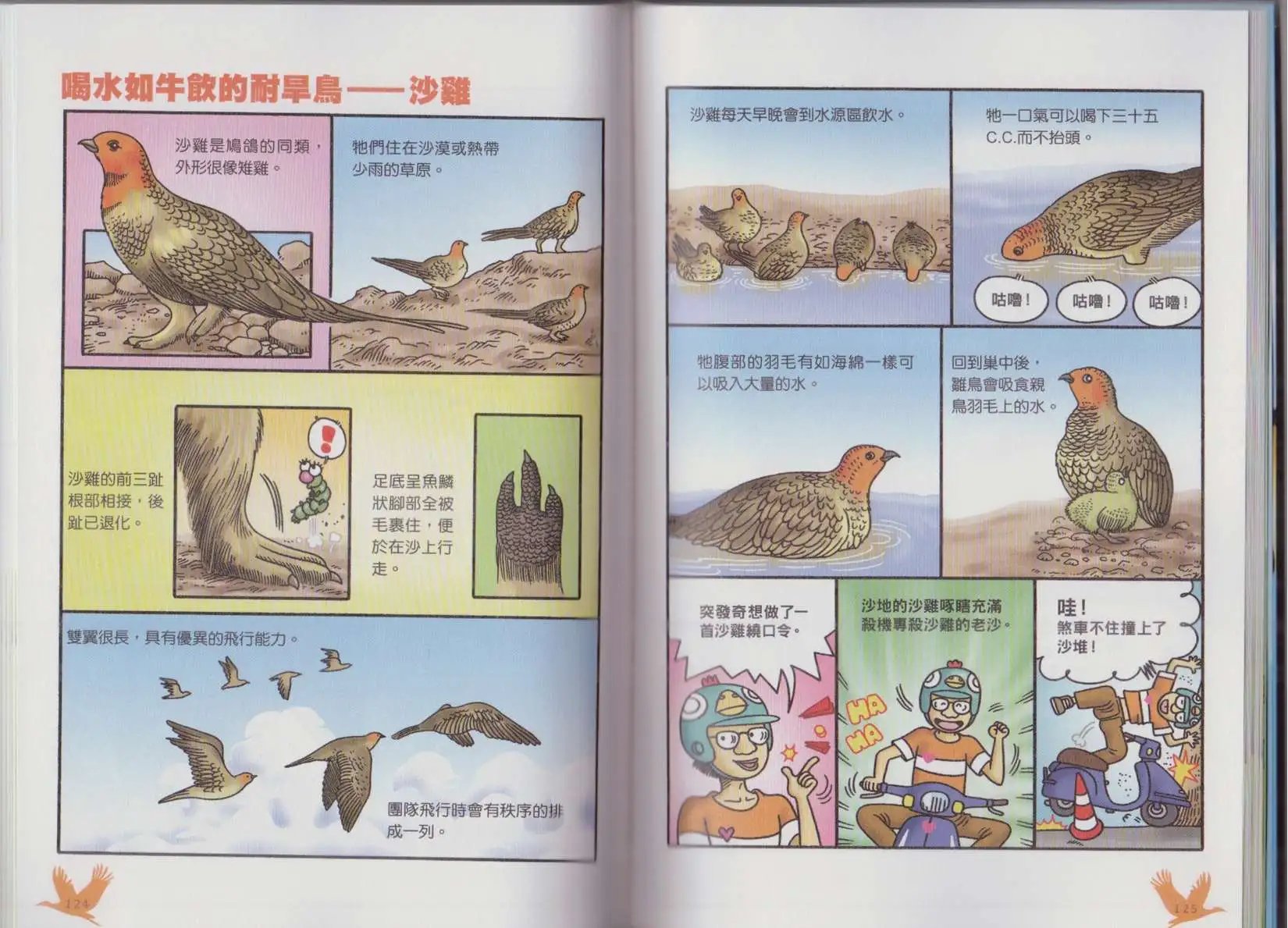 第04卷