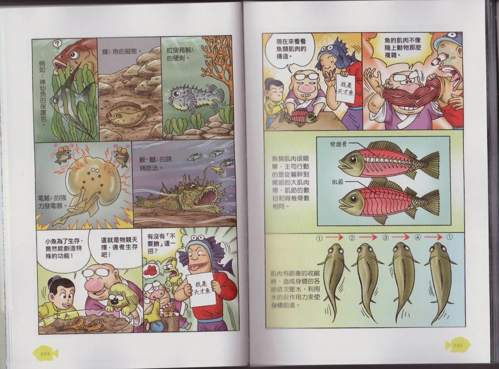 第06卷