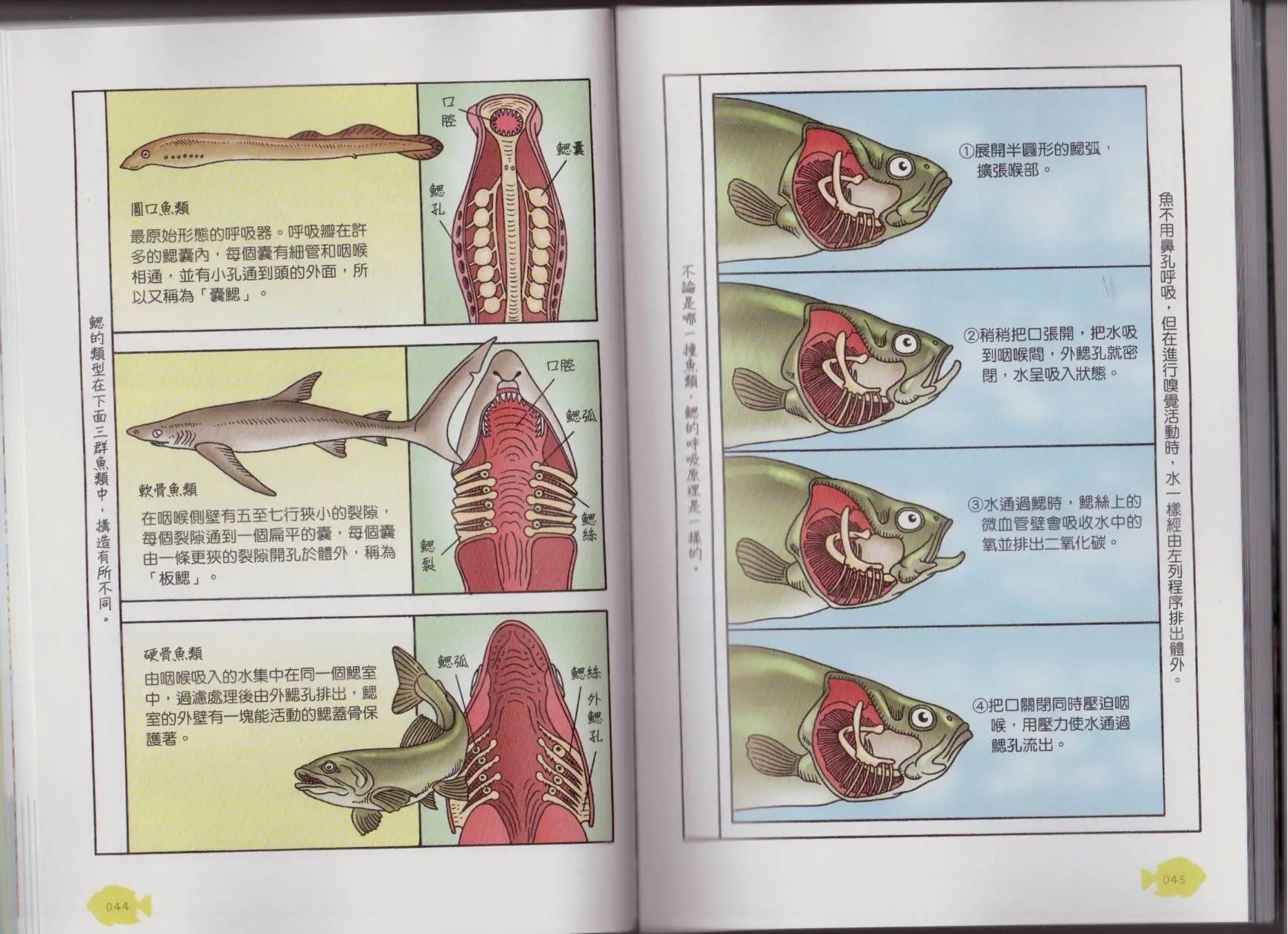 第06卷