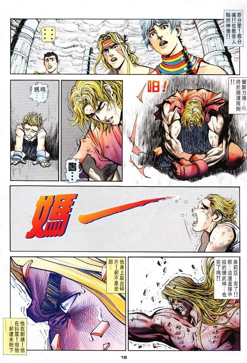 第20卷白元帅