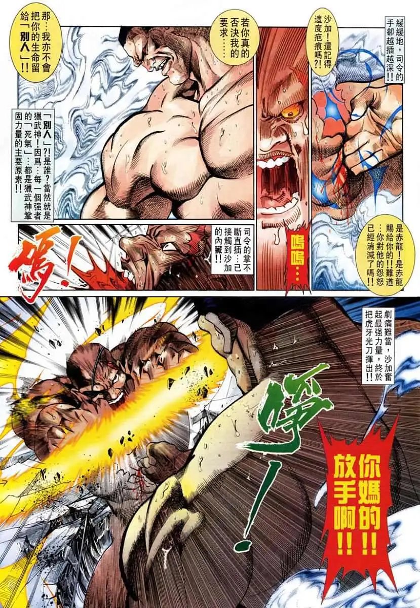 第22卷街头霸王
