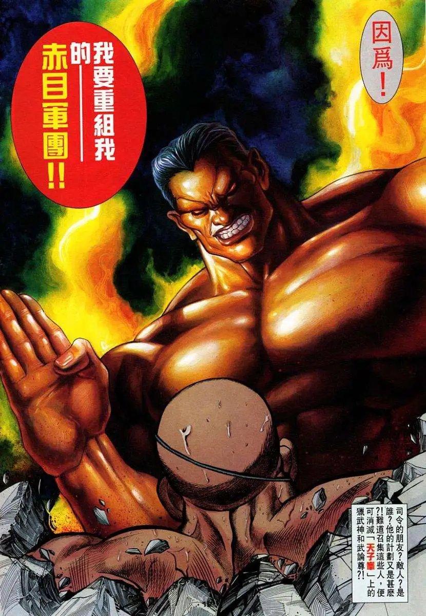 第22卷街头霸王