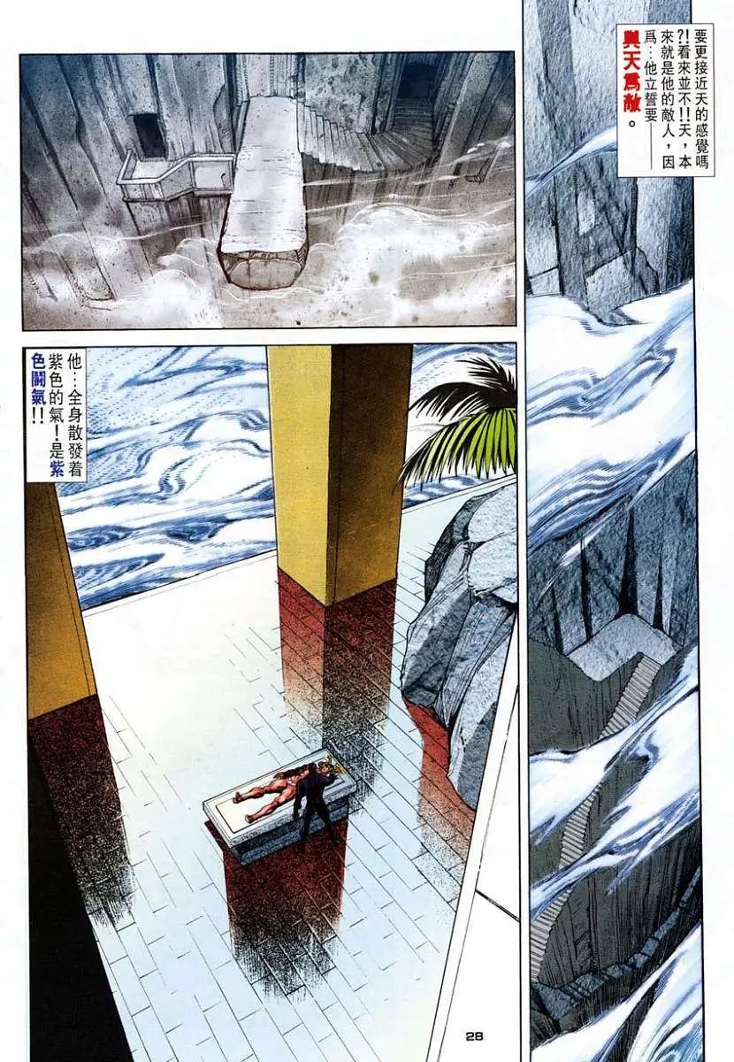 第22卷街头霸王