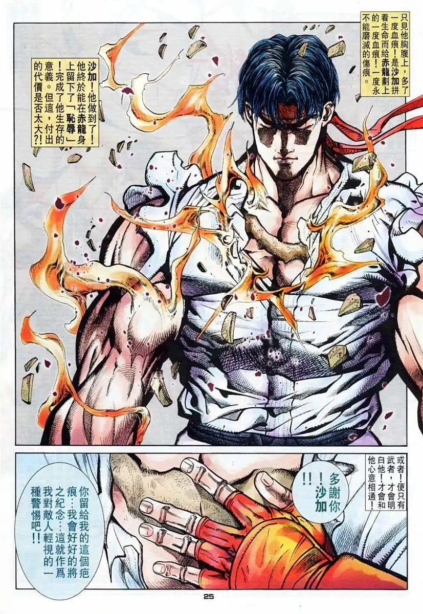 第52卷归波龙拳
