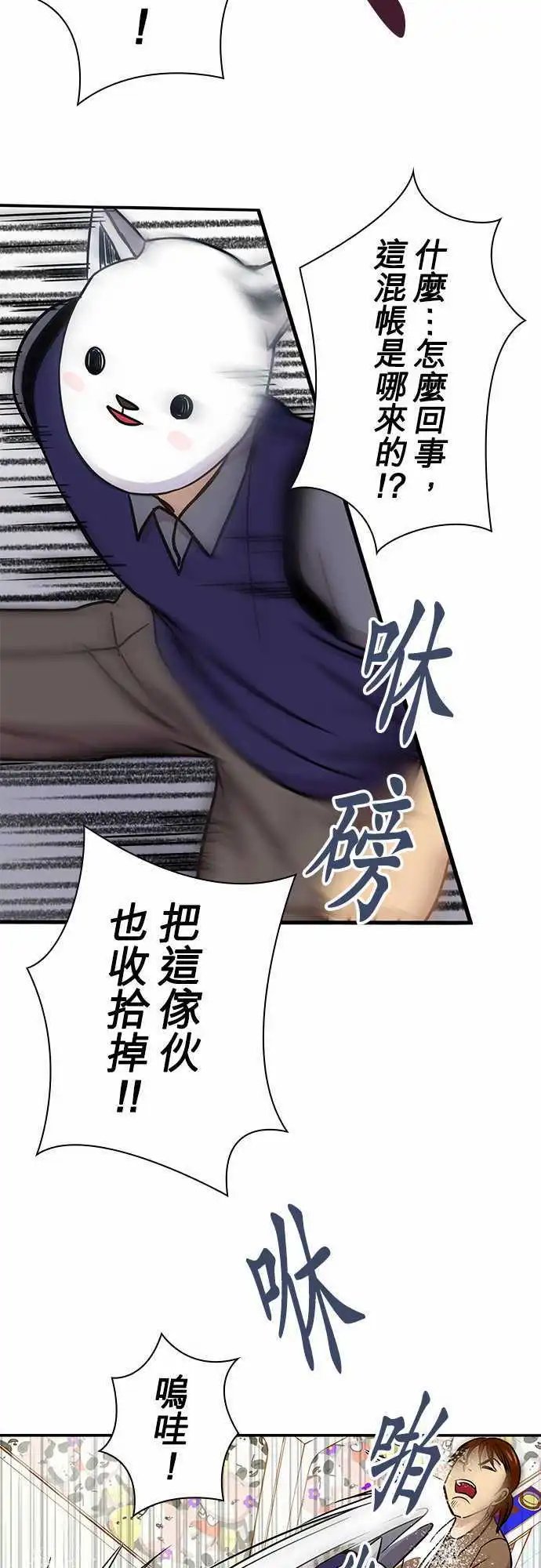 第46回