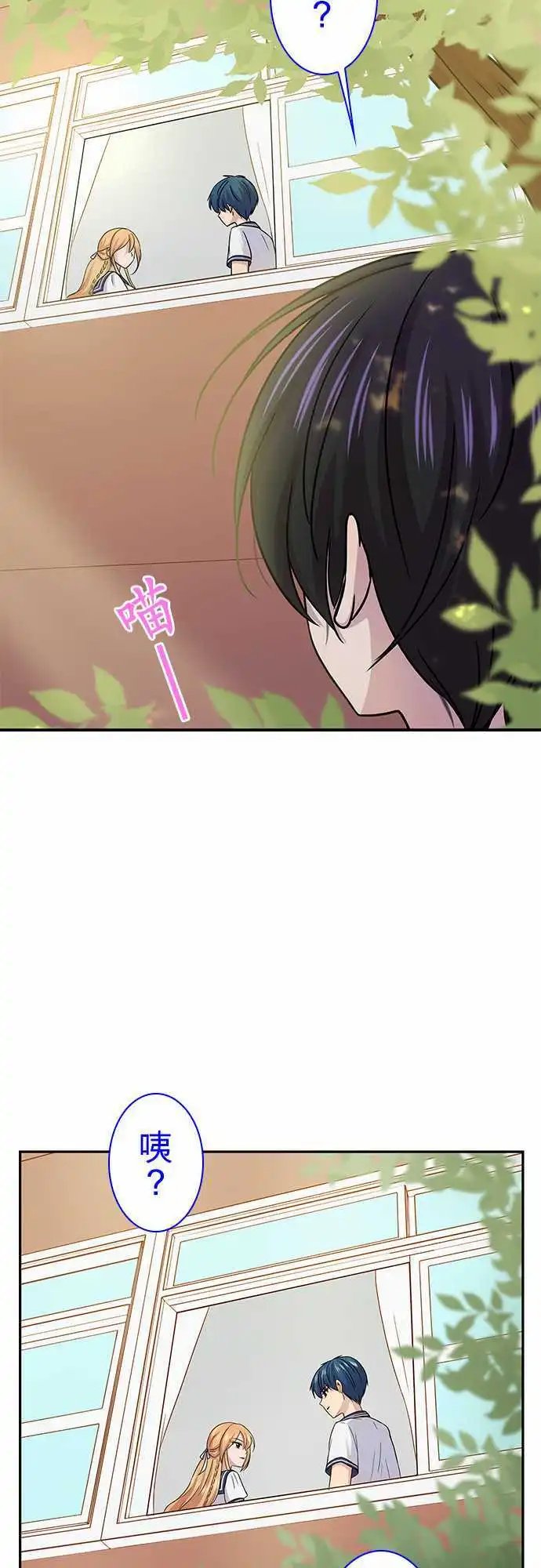 第71回