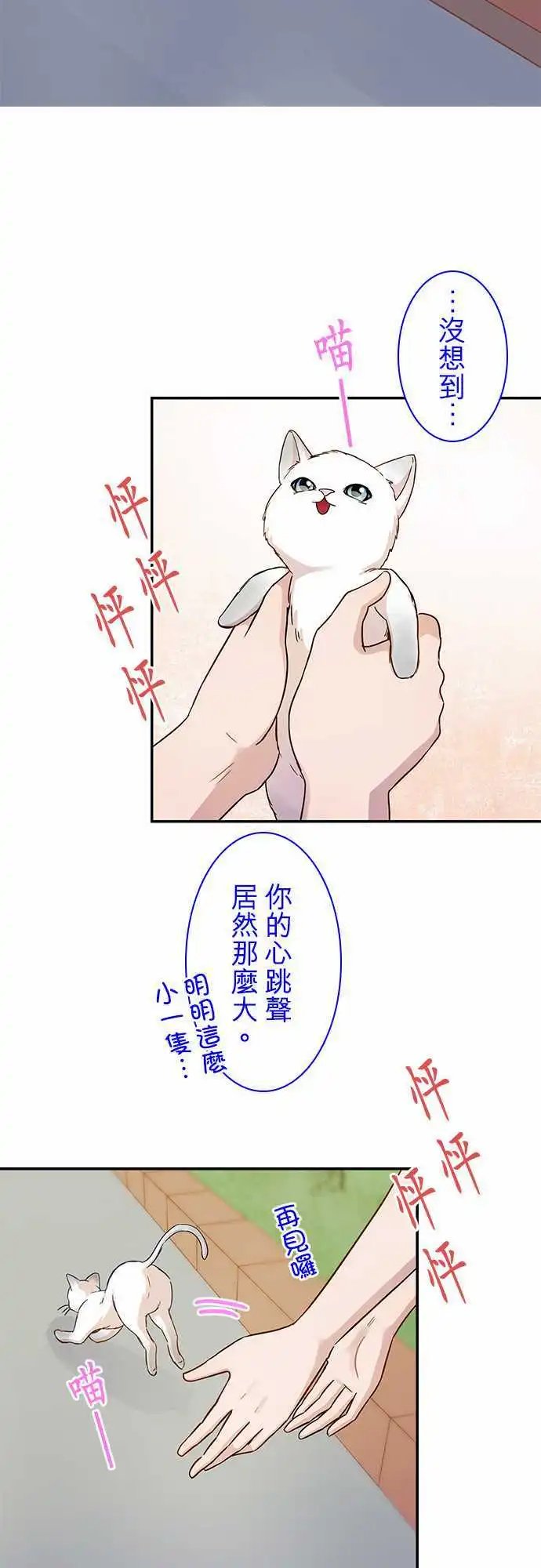第71回