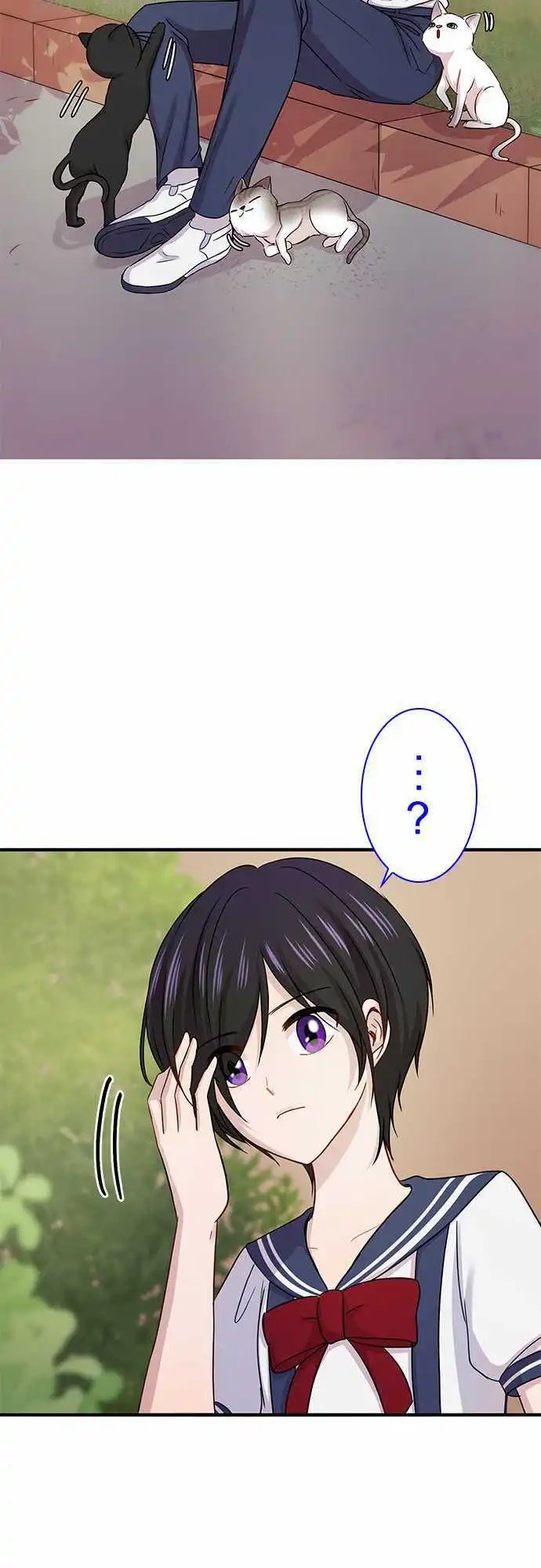 第71回