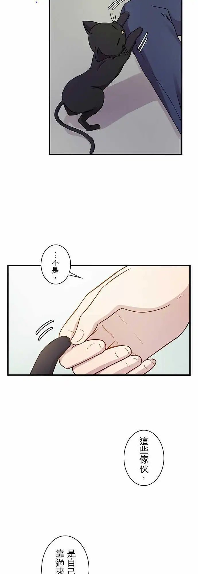 第72回