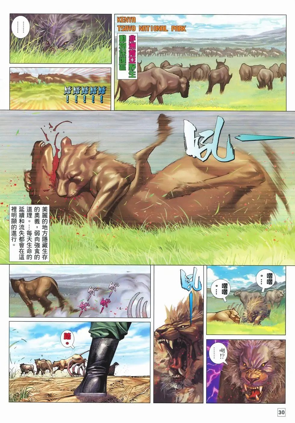 第28卷