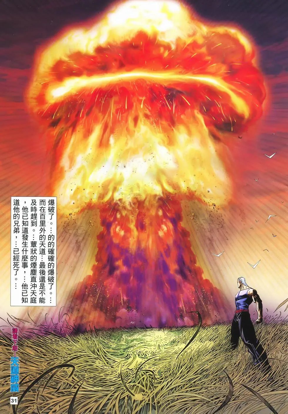 第31卷