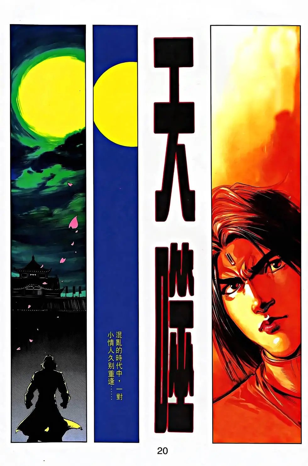第31卷