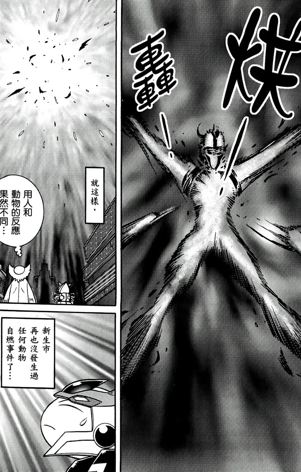 第19卷
