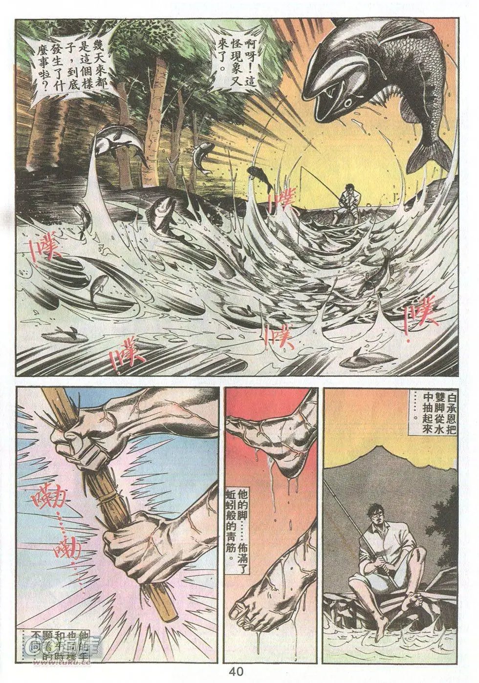 第41回