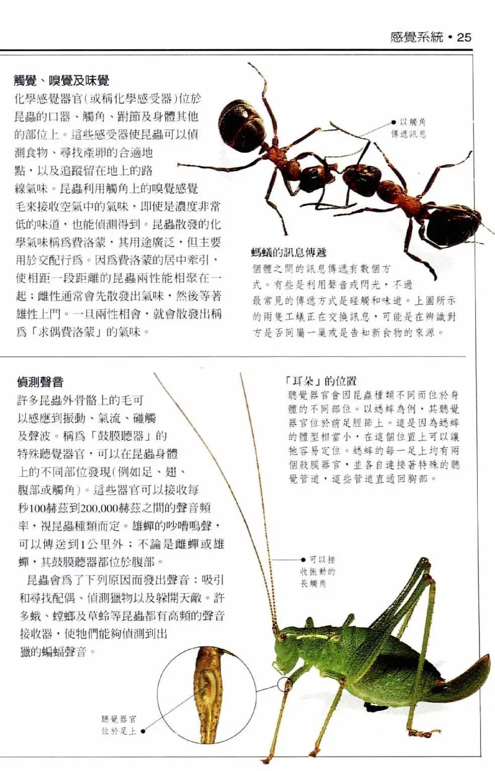 全一卷