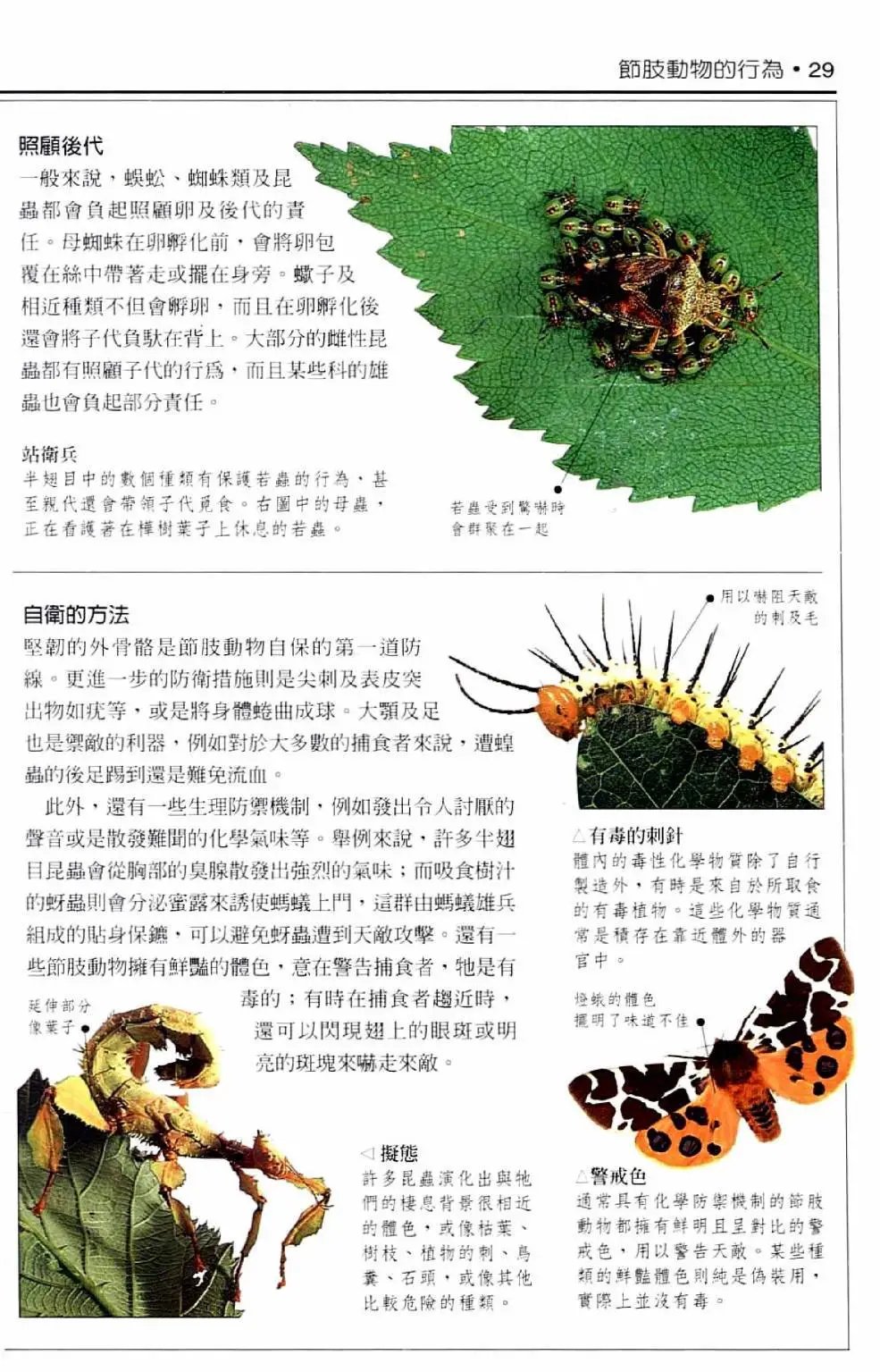 全一卷