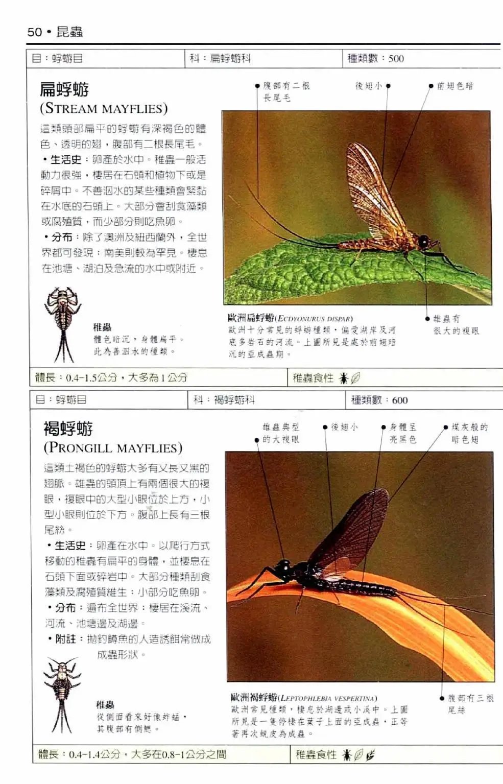全一卷