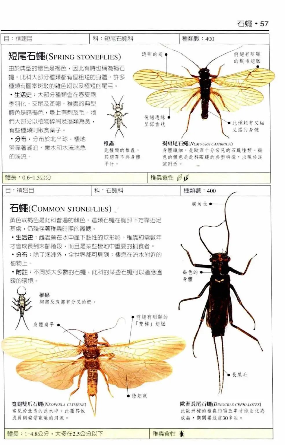 全一卷