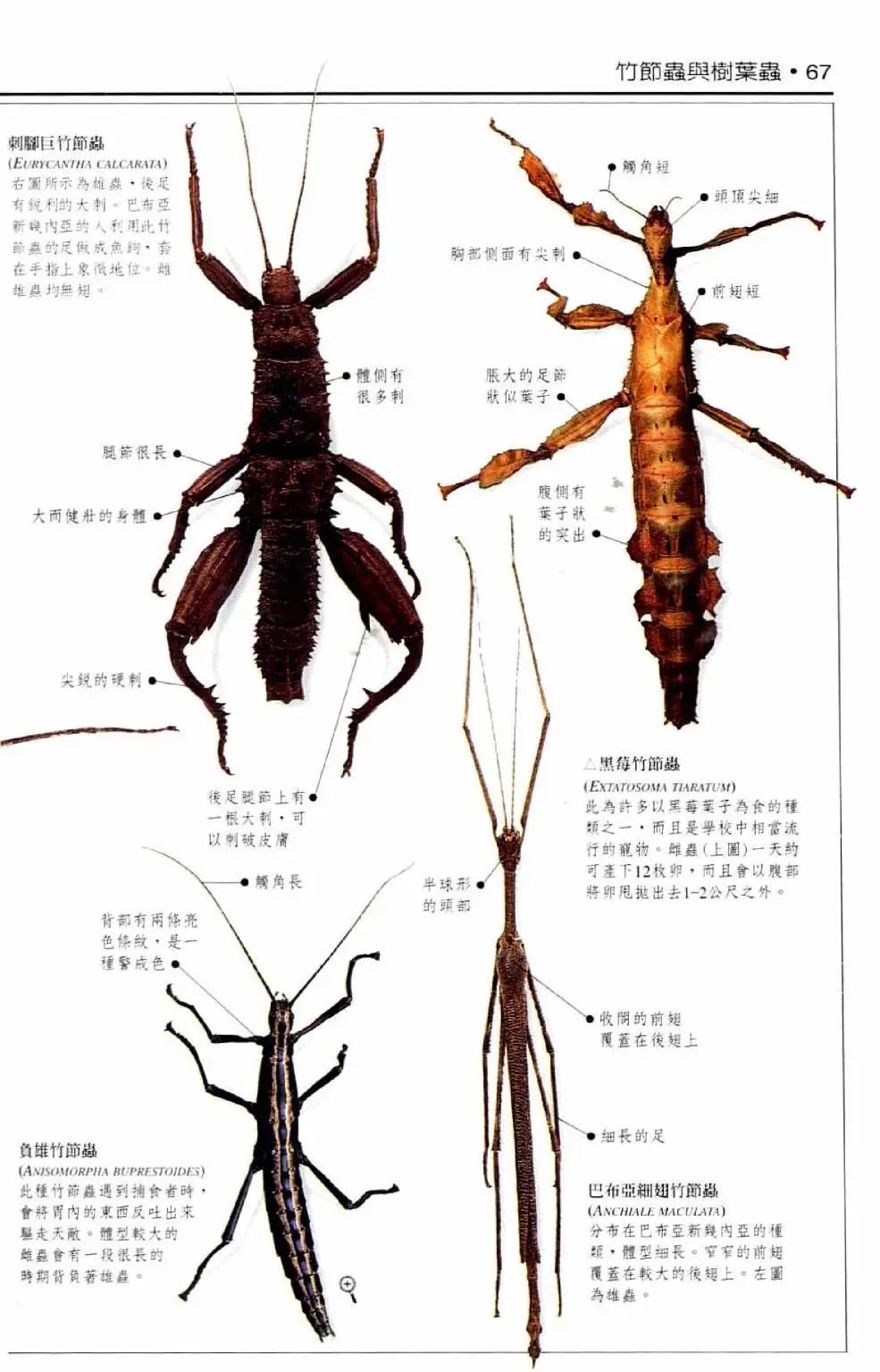 全一卷
