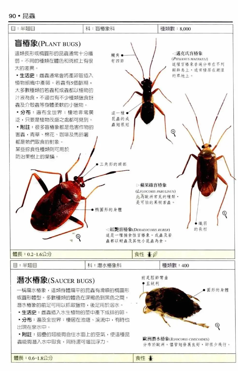 全一卷
