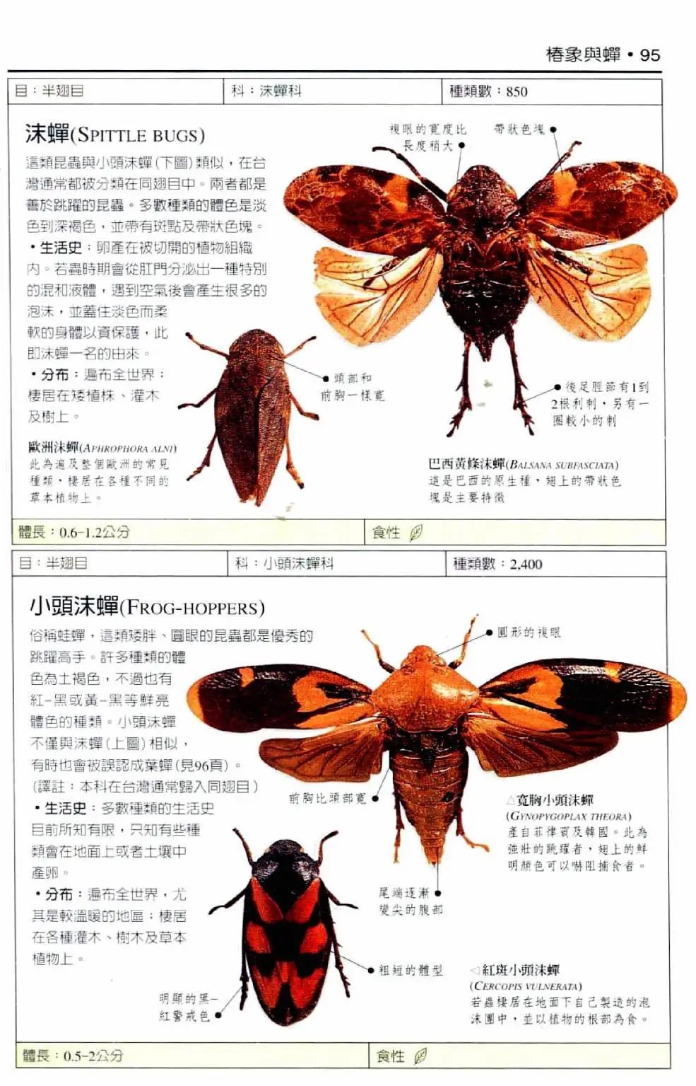 全一卷