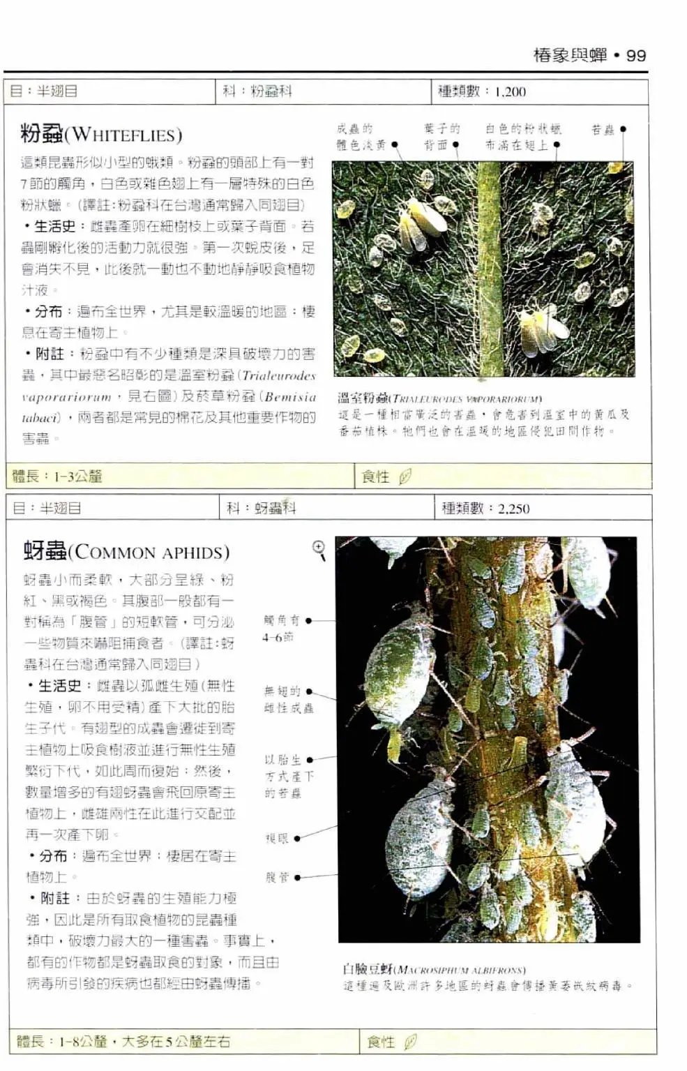 全一卷