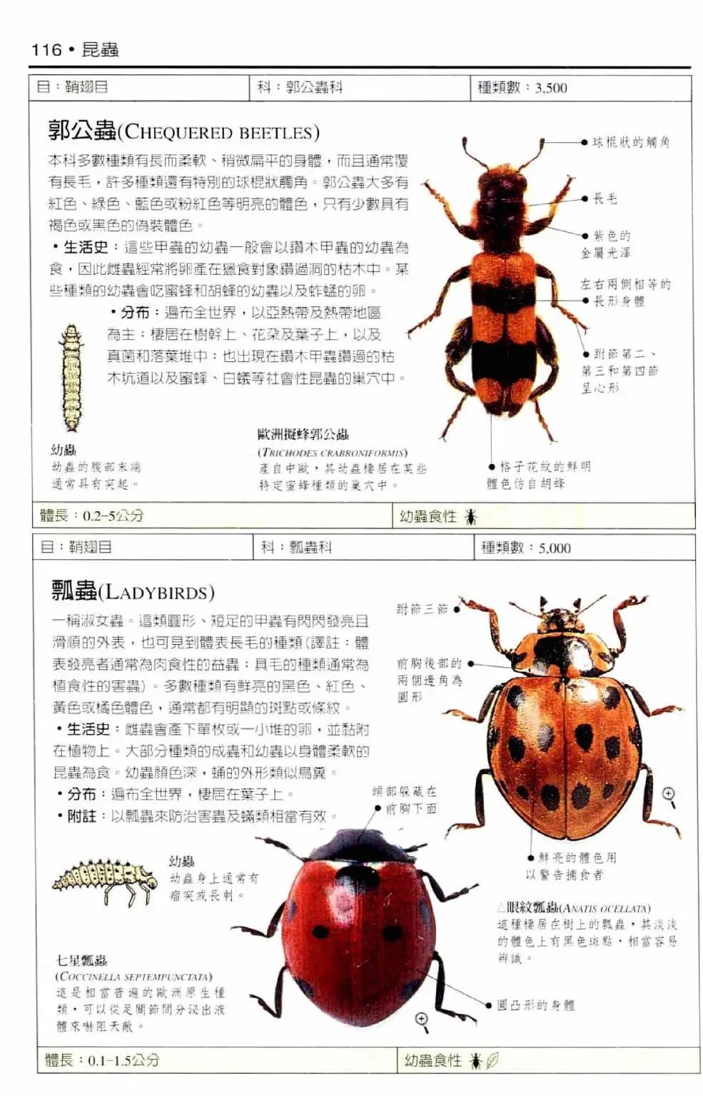 全一卷