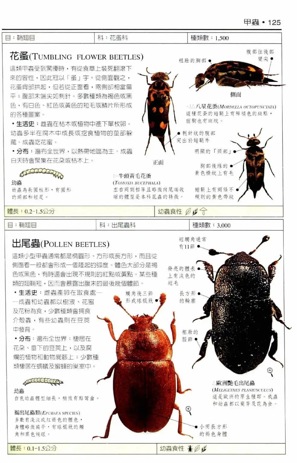全一卷