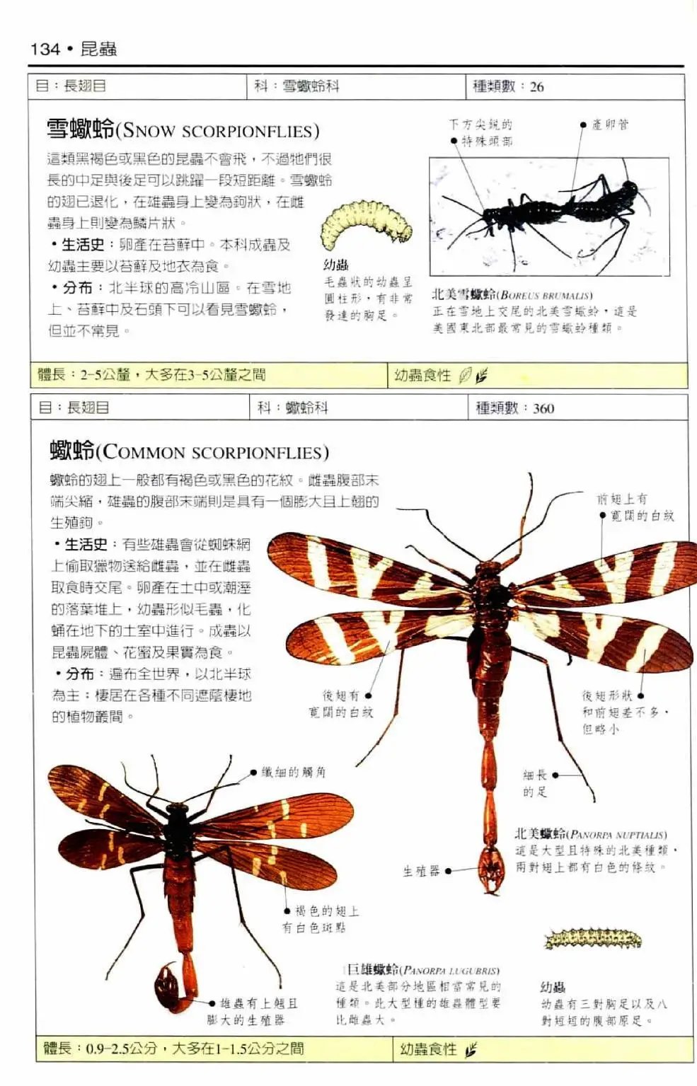 全一卷