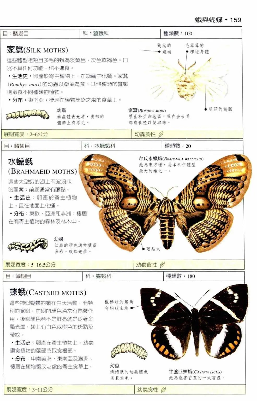 全一卷
