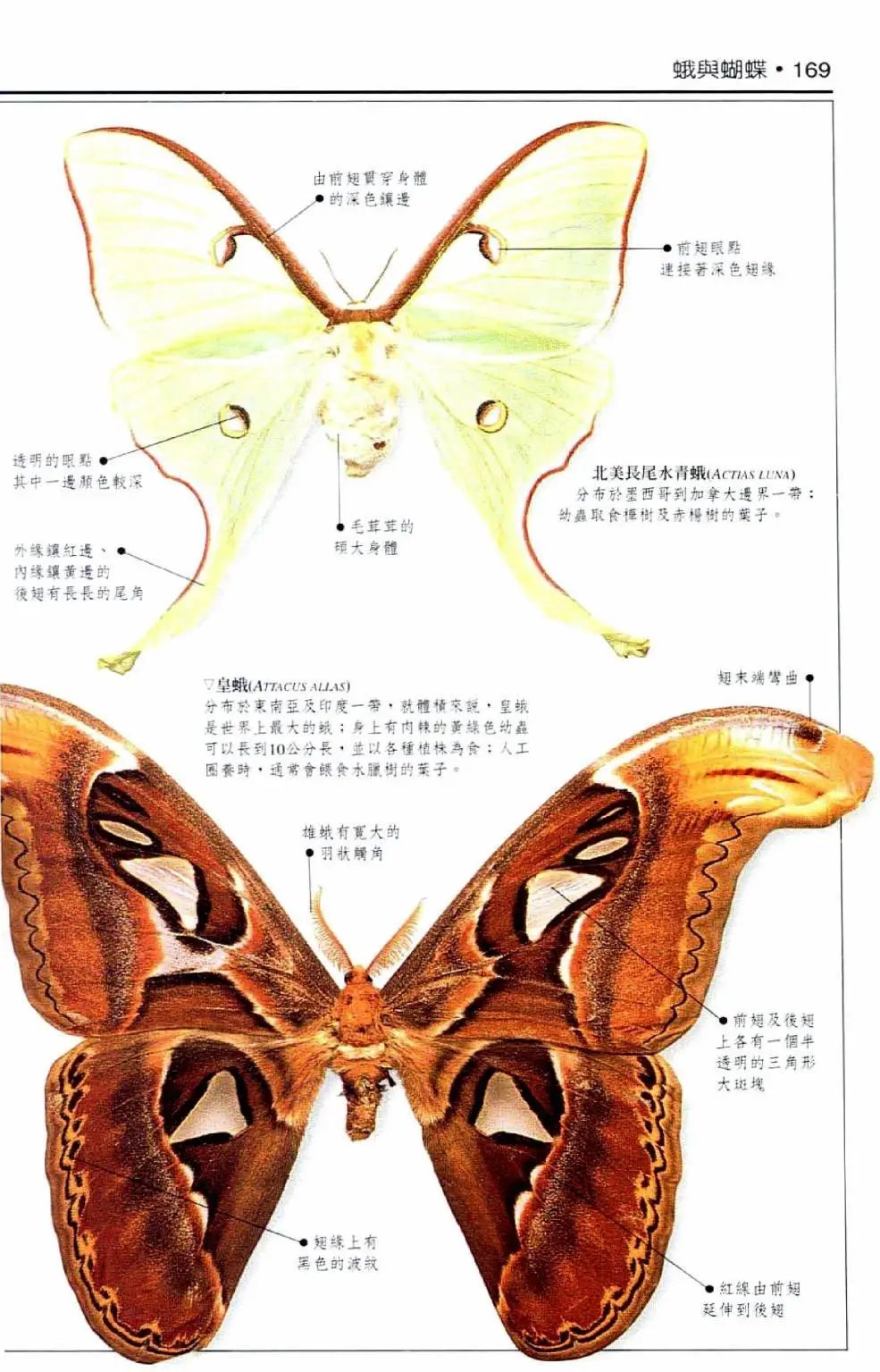全一卷