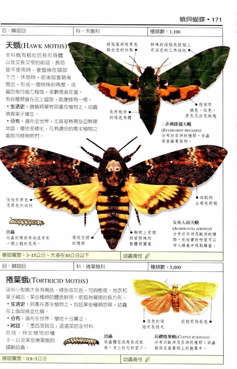 全一卷