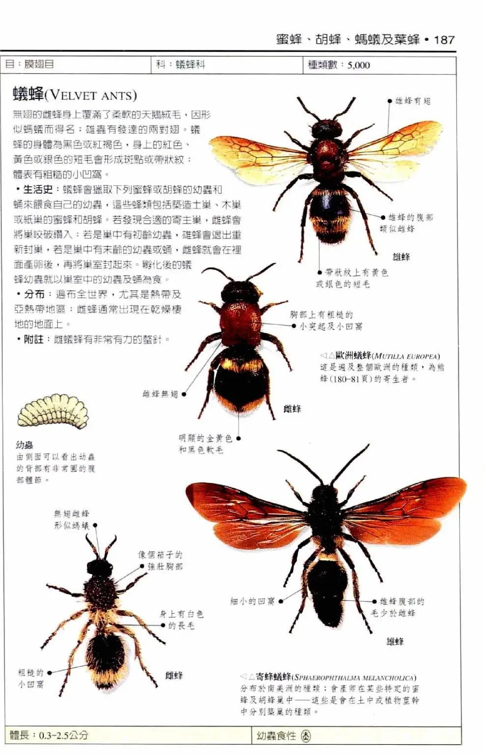 全一卷