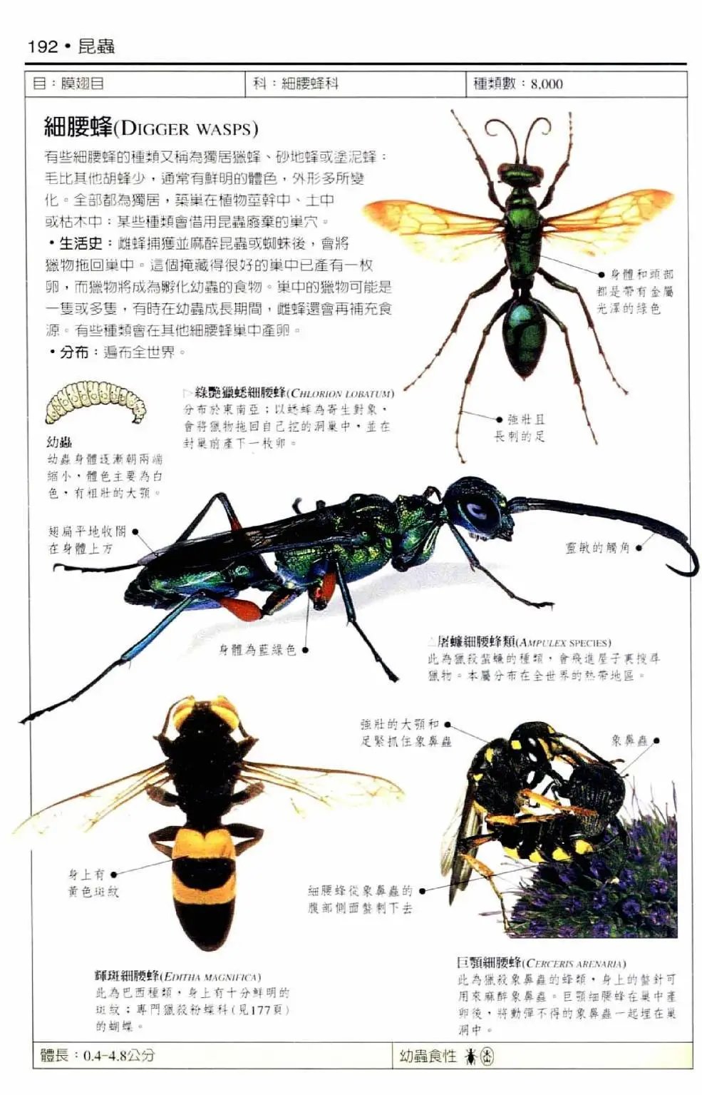 全一卷