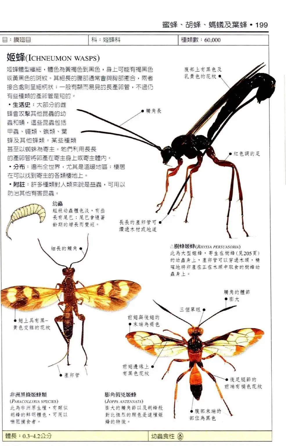全一卷