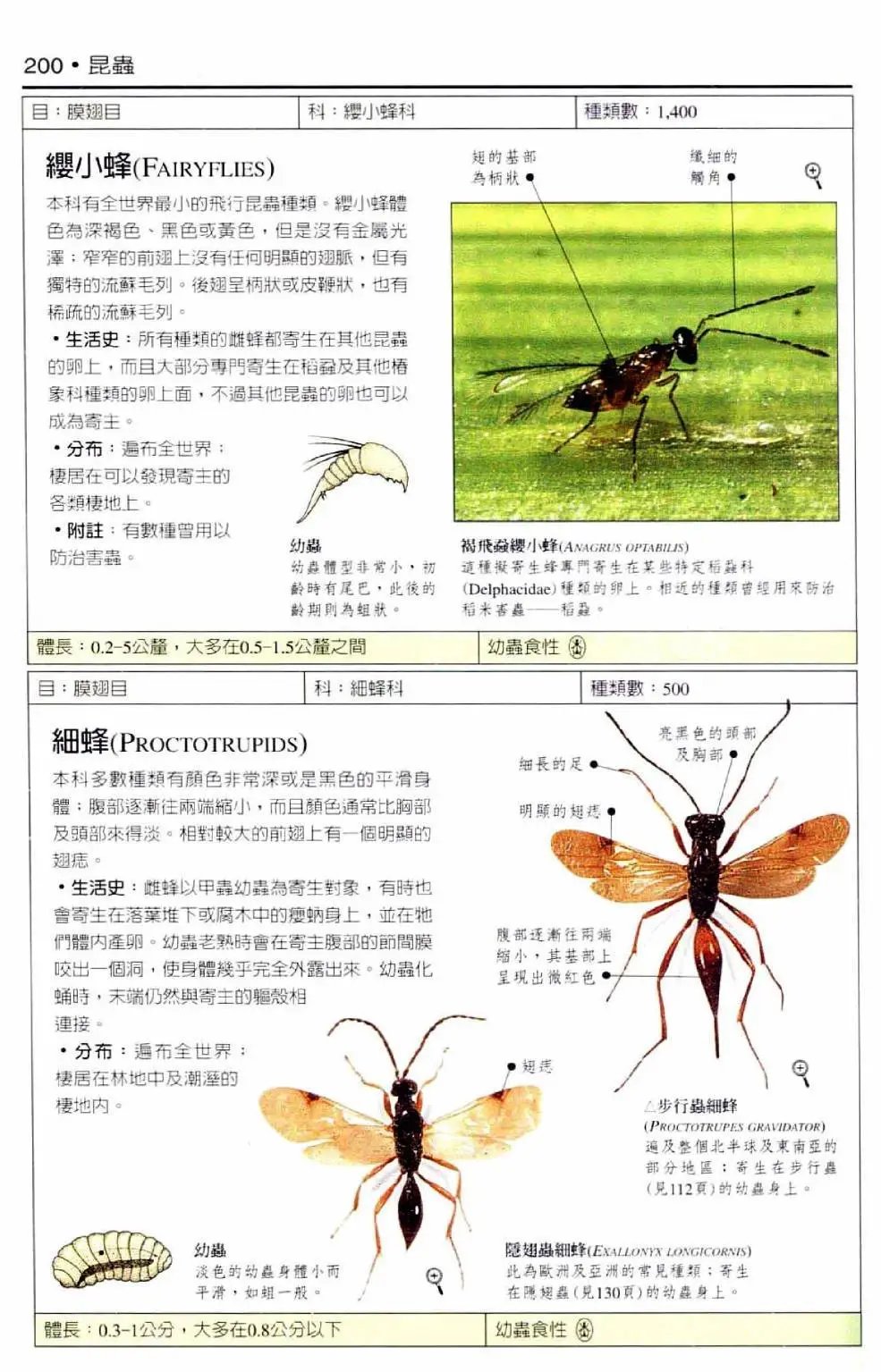 全一卷