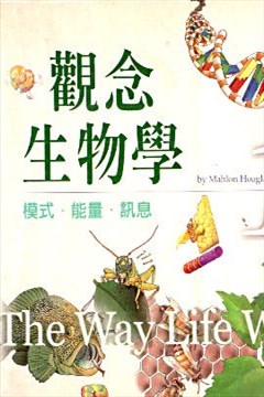wuliandianfeng-pikapi