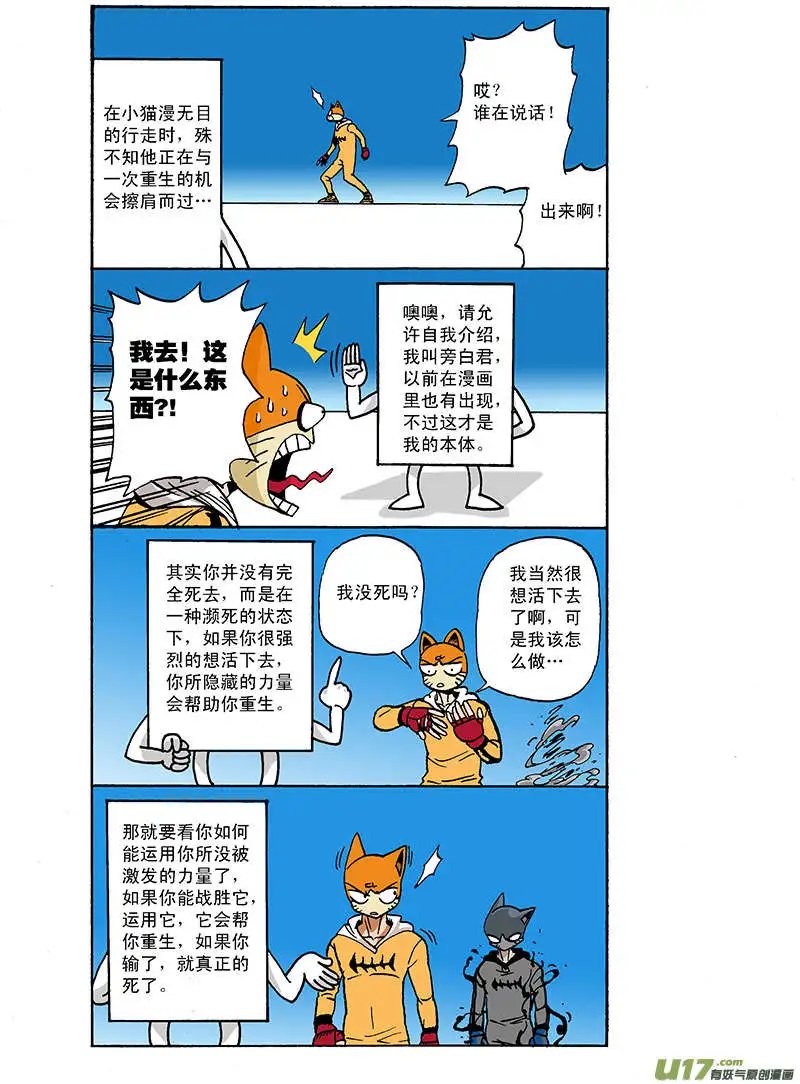 61回
