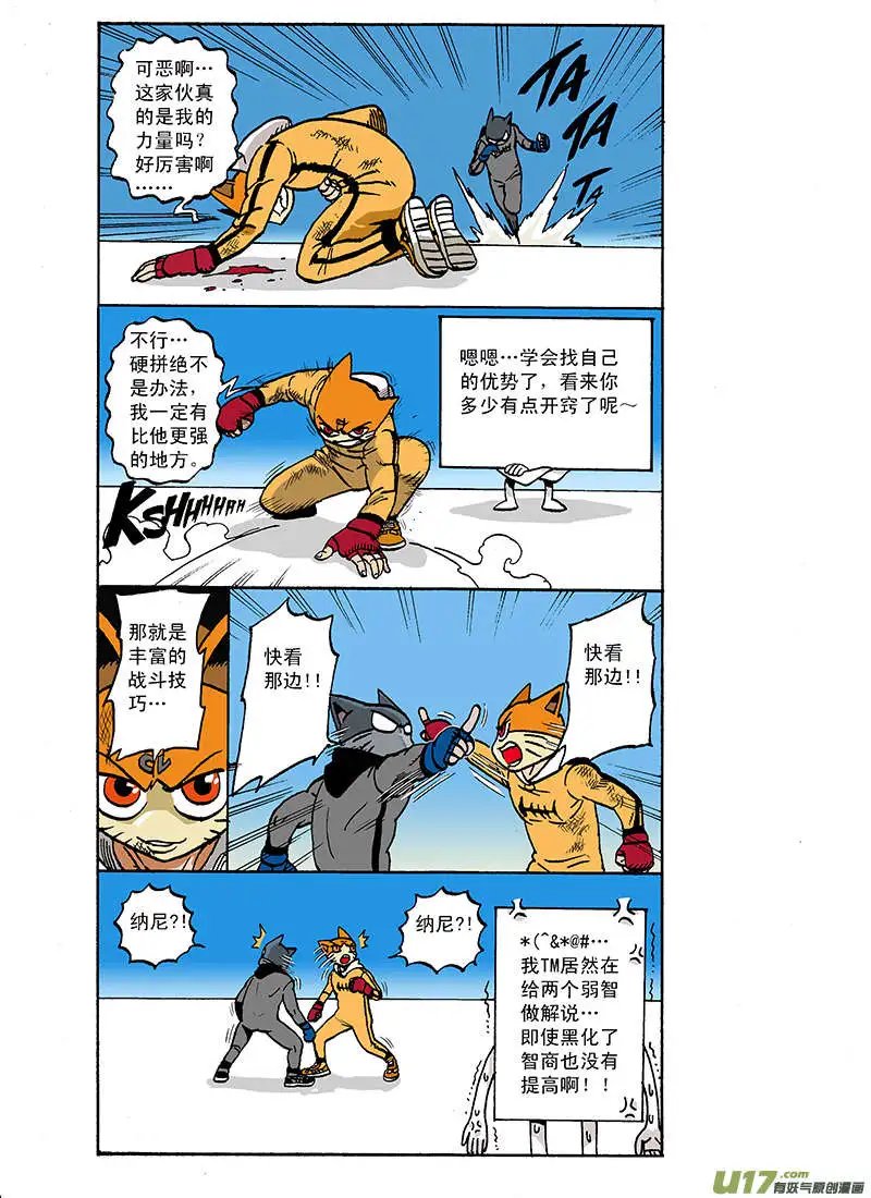 61回