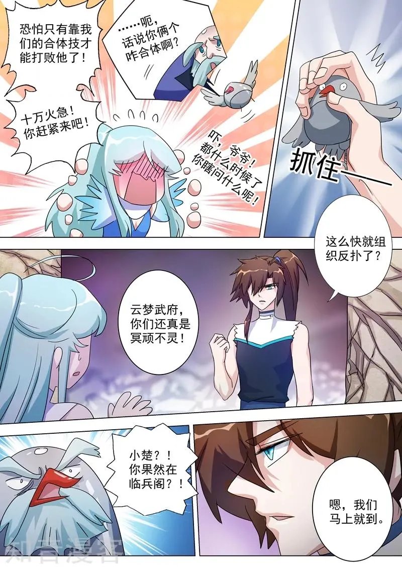 第231话 刺杀，引蛇出洞
