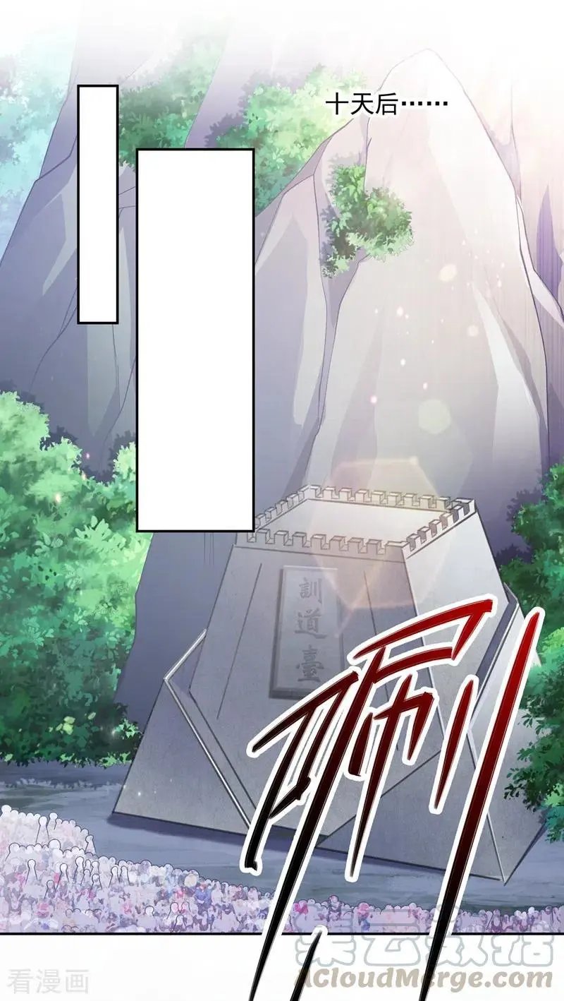 第377话 洛云的亲传弟子