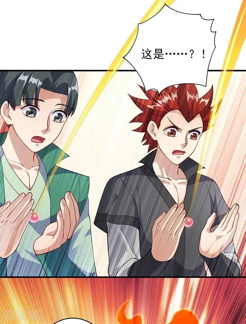 第377话 洛云的亲传弟子